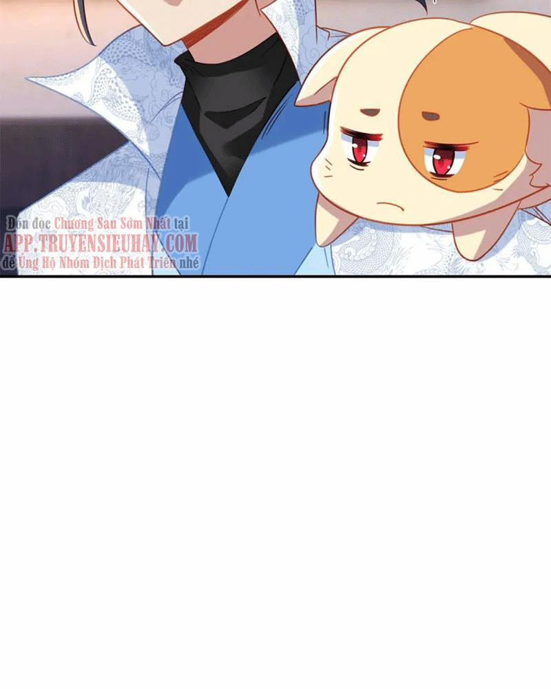 Bắt Đầu Quật Khởi Từ Làm Lô Đỉnh 62 trang 4