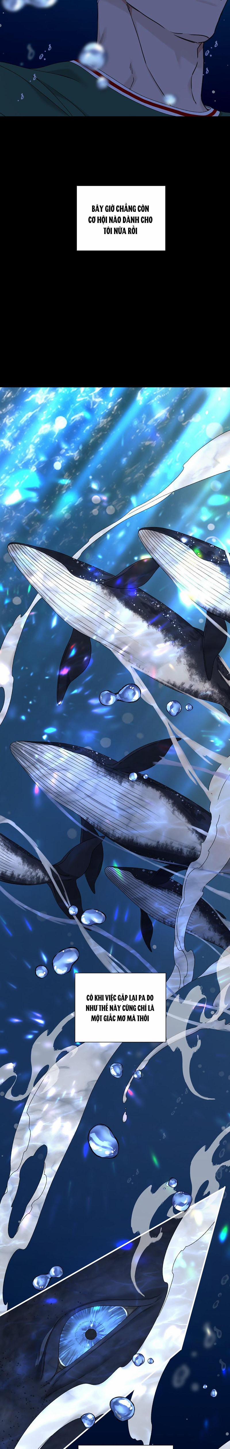 Bắt Đầu Sai Lầm 4 trang 10