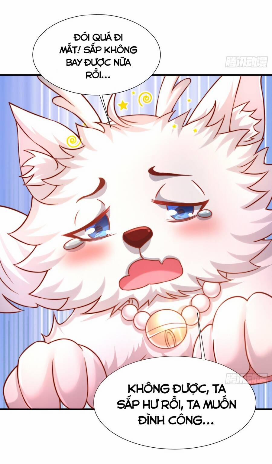 Bắt Đầu Thổ Lộ Với Mỹ Nữ Sư Tôn 14 trang 6