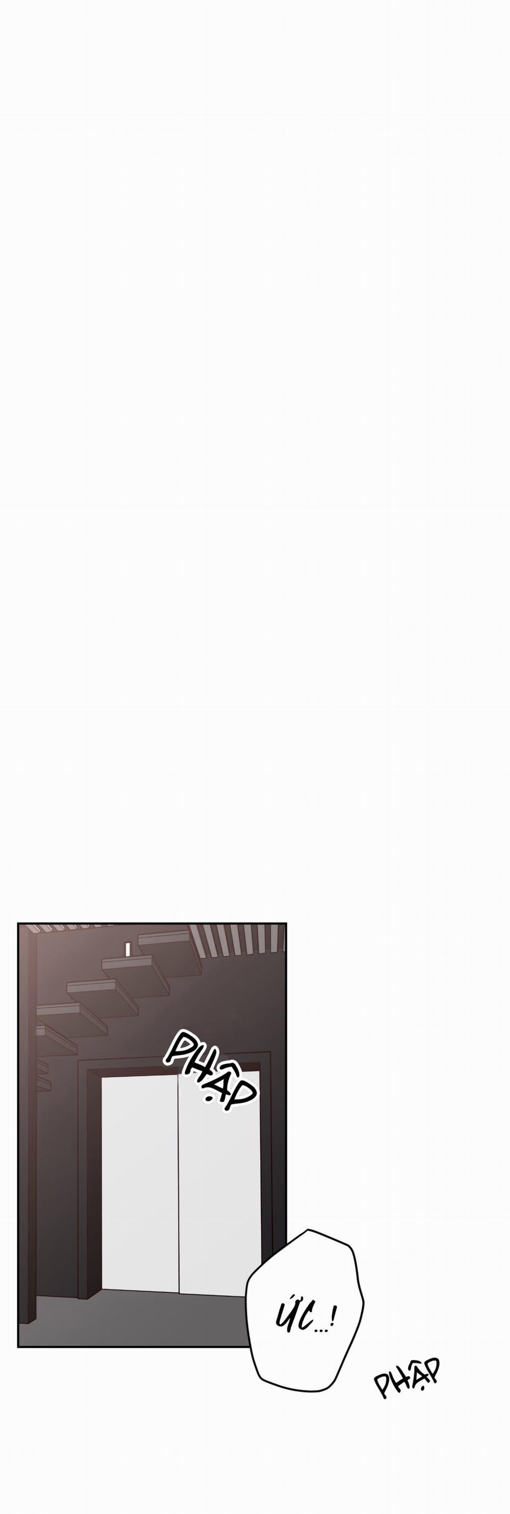 Bất Khả Kháng 12 trang 55