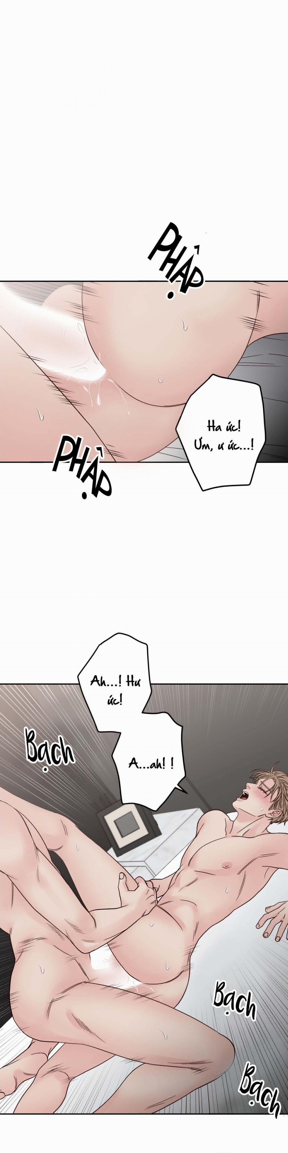 Bất Khả Kháng 13 trang 11