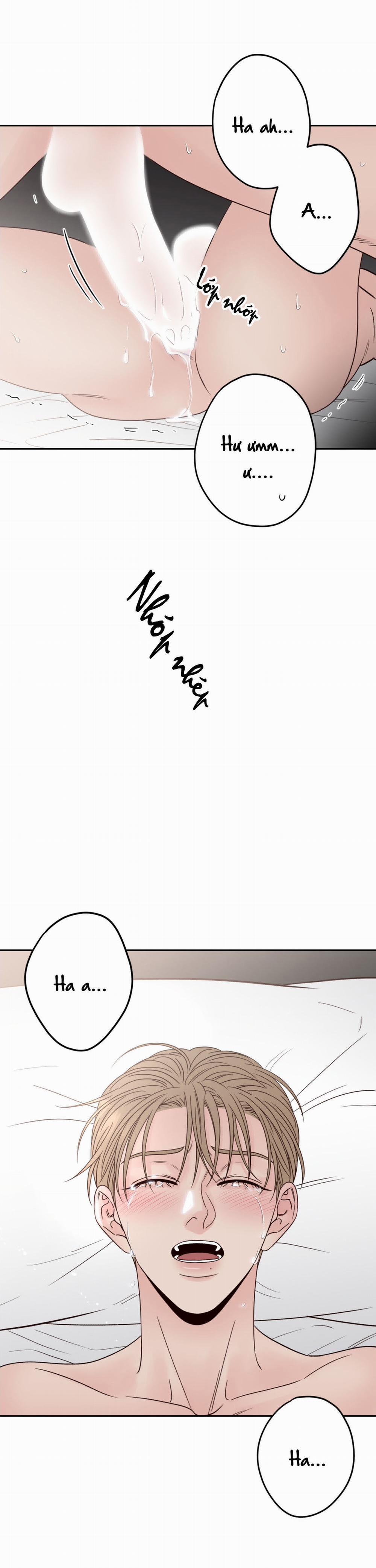 Bất Khả Kháng 13 trang 16