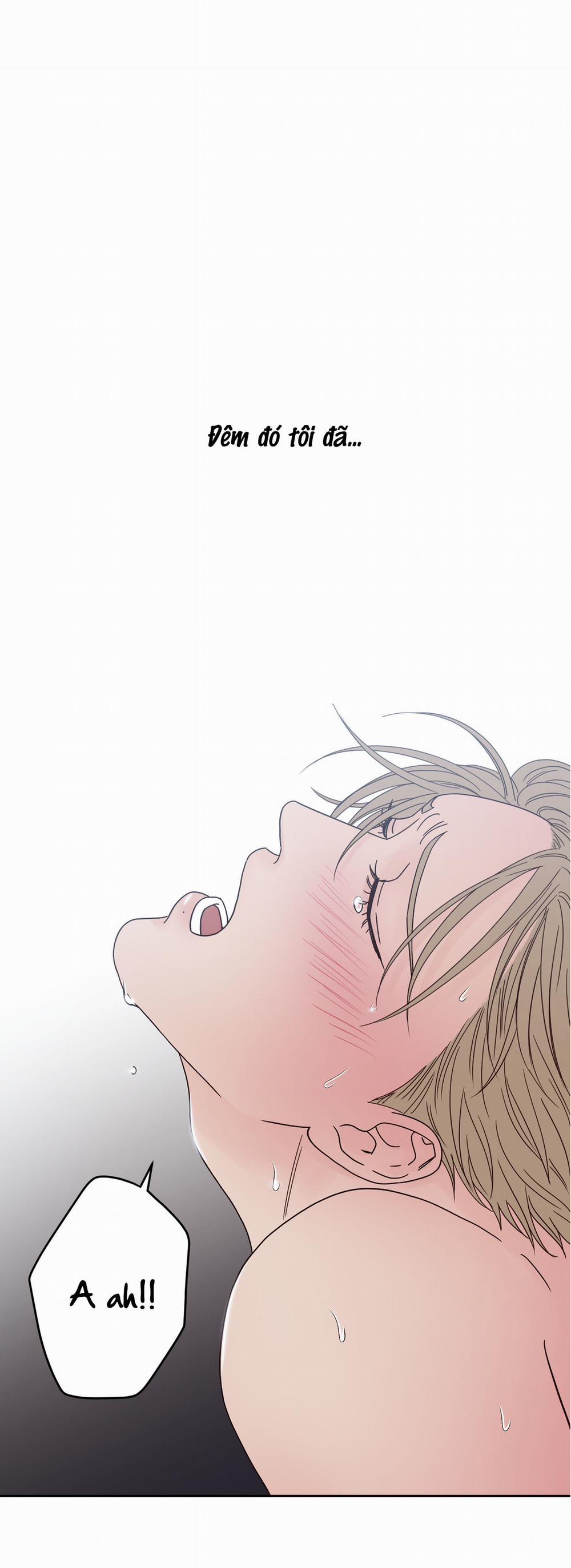 Bất Khả Kháng 5 trang 0