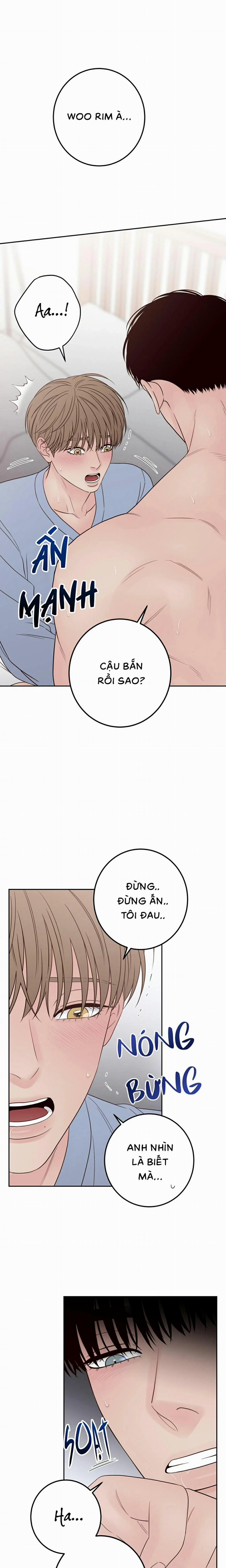 Bất Khả Kháng 53 trang 11