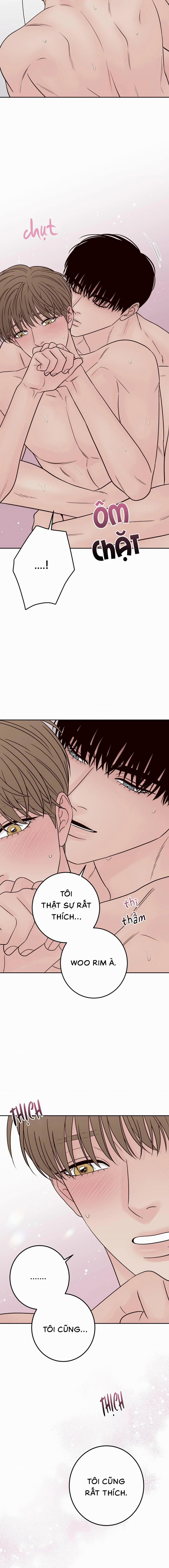 Bất Khả Kháng 54 trang 17