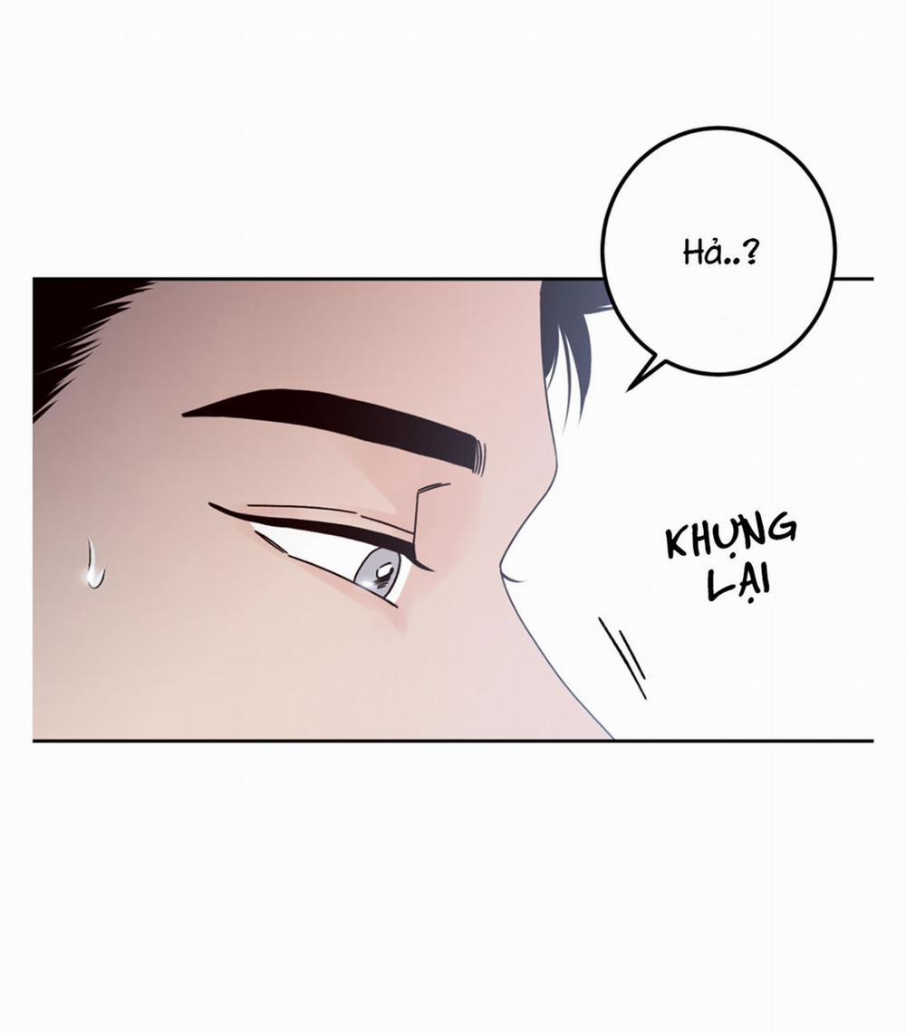 Bất Khả Kháng 6 trang 14