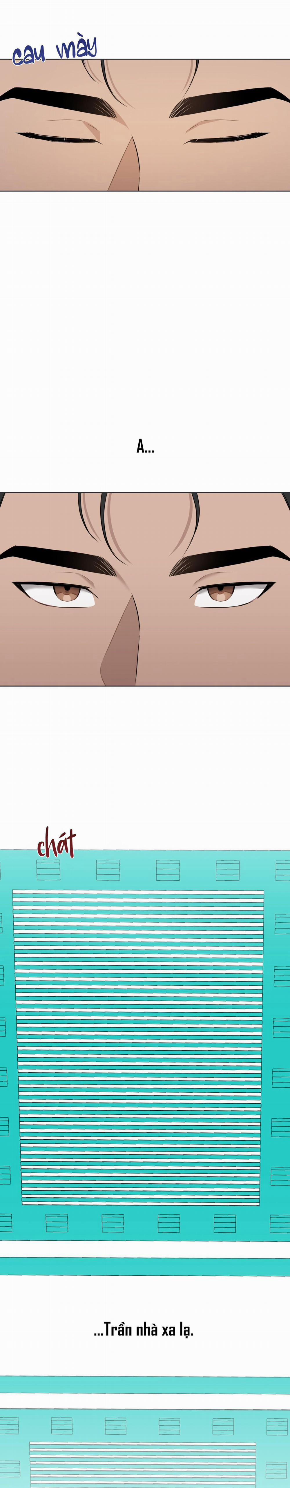 Bắt Kịp 2 chym tung bay trang 14