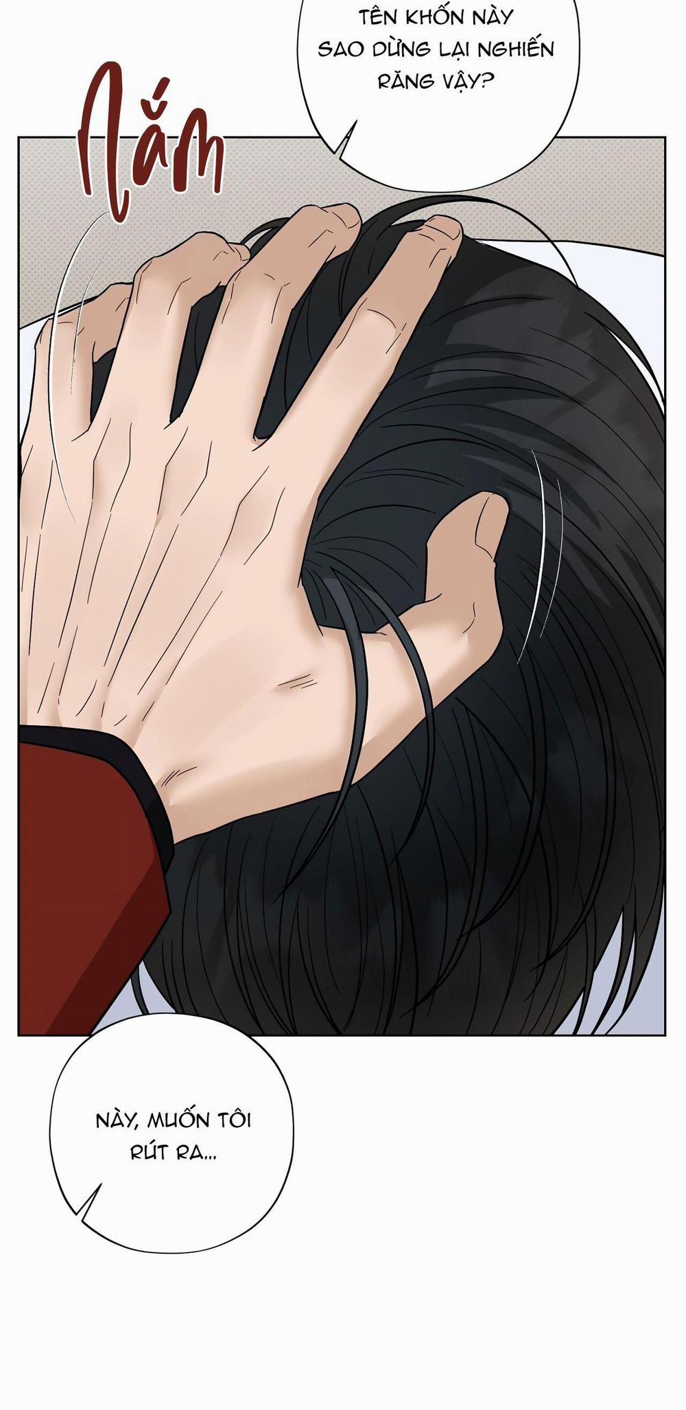 Bắt Kịp 20 trang 11