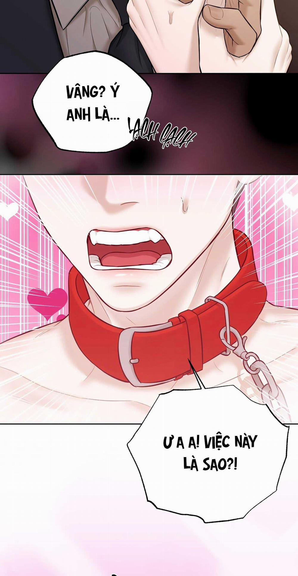 Bắt Kịp 28 trang 5