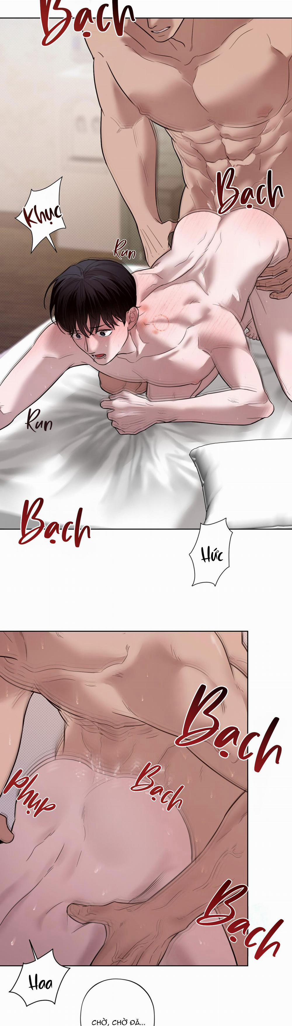 Bắt Kịp 8 chjch ngất xỉu trang 13