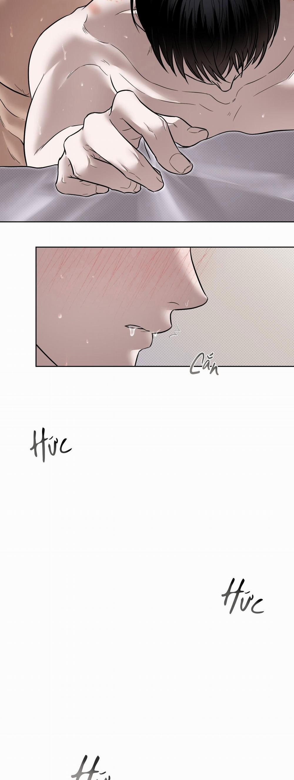 Bắt Kịp 8 chjch ngất xỉu trang 19