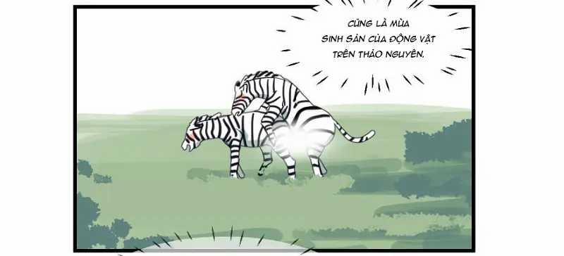 Bắt Lấy Ngao Ngao 10 trang 2