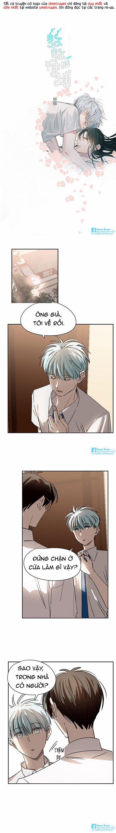 Bắt Lấy Ngao Ngao 14 trang 0