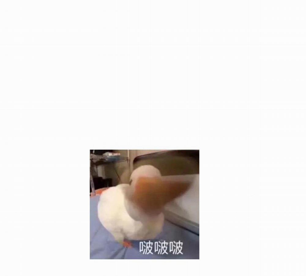 Bắt Lấy Ngao Ngao 208 trang 53