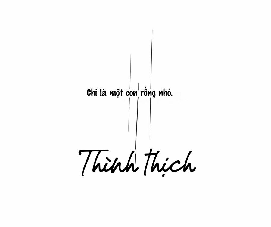 Bắt Lấy Ngao Ngao 228 trang 42