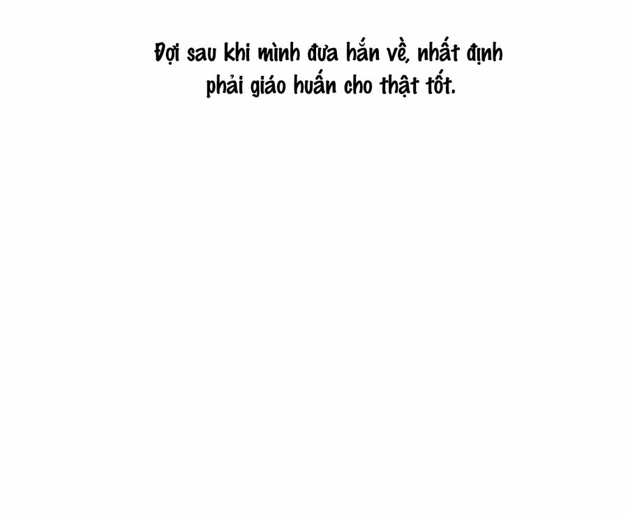 Bắt Lấy Ngao Ngao 229 trang 11