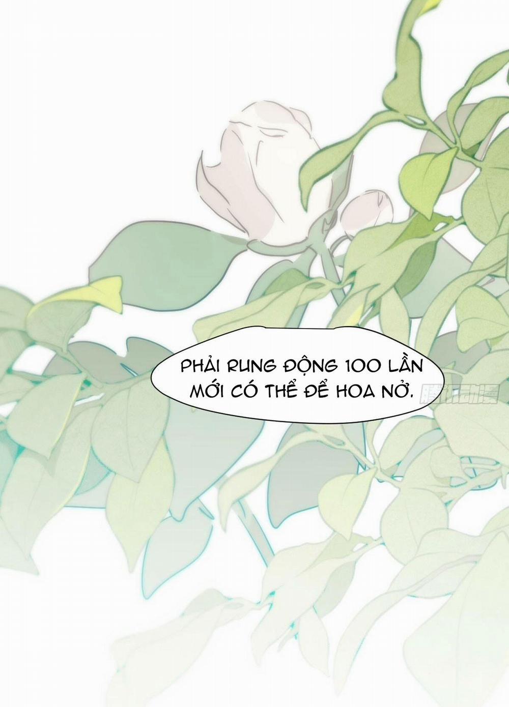 Bắt Lấy Ngao Ngao 242 trang 35