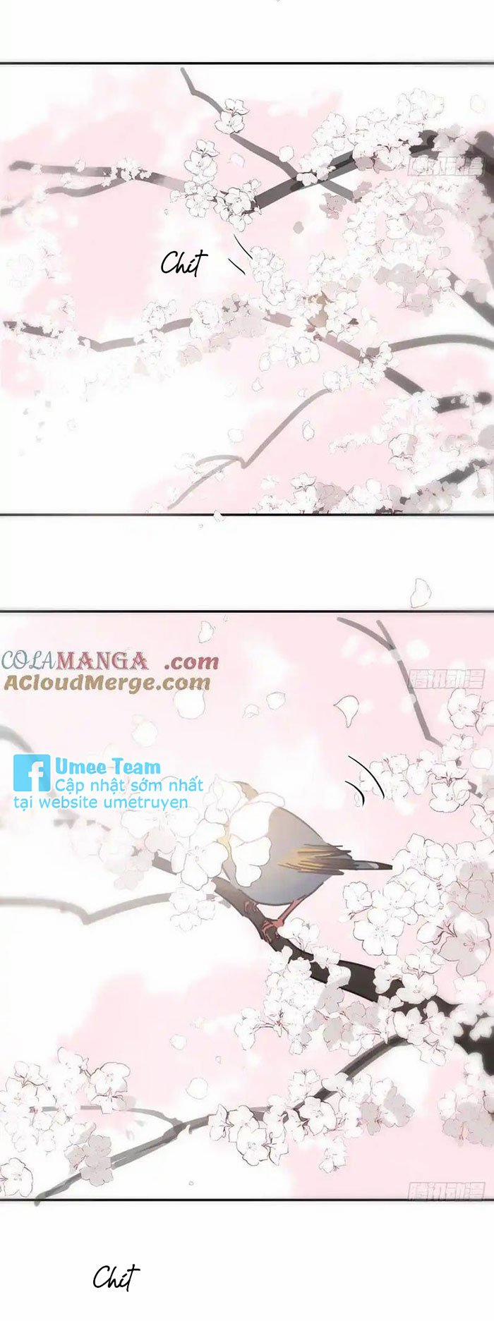 Bắt Lấy Ngao Ngao 260 trang 46