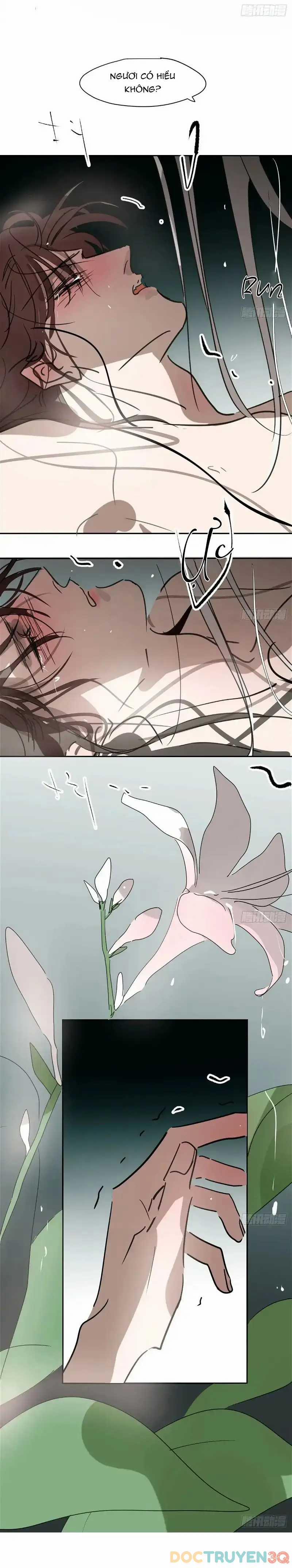 Bắt Lấy Ngao Ngao 264 trang 12