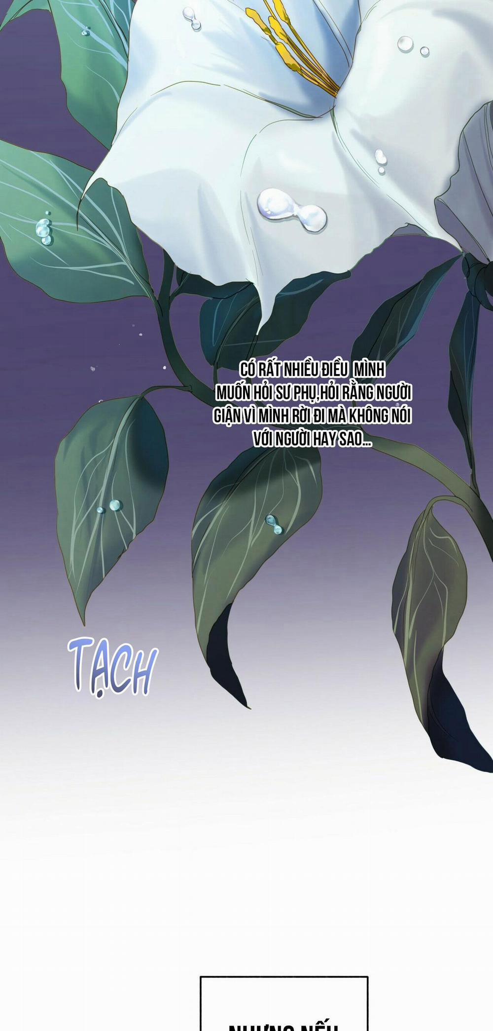 Bát Nhã Giai Nhân 35 trang 37