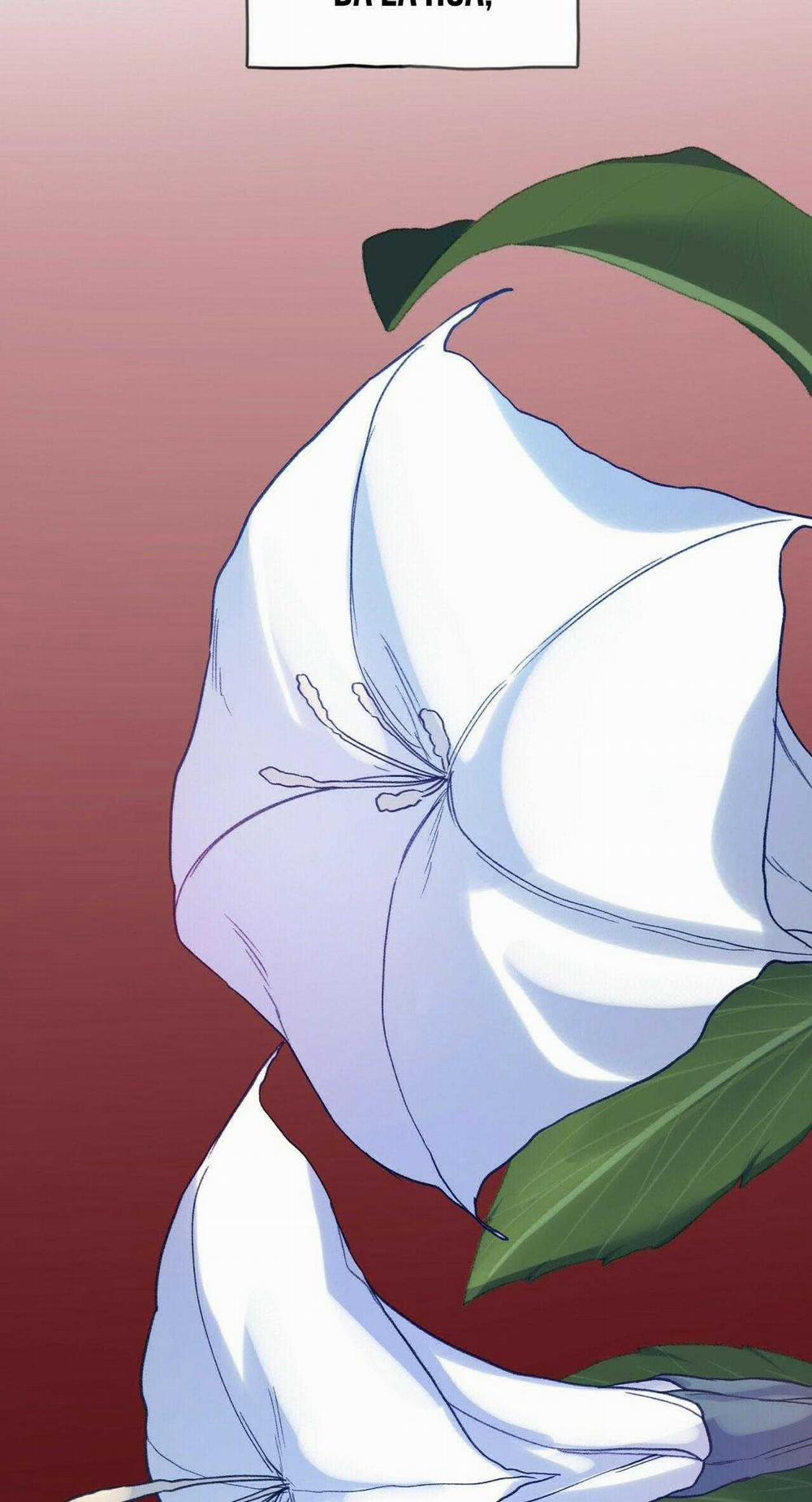 Bát Nhã Giai Nhân 42 trang 54