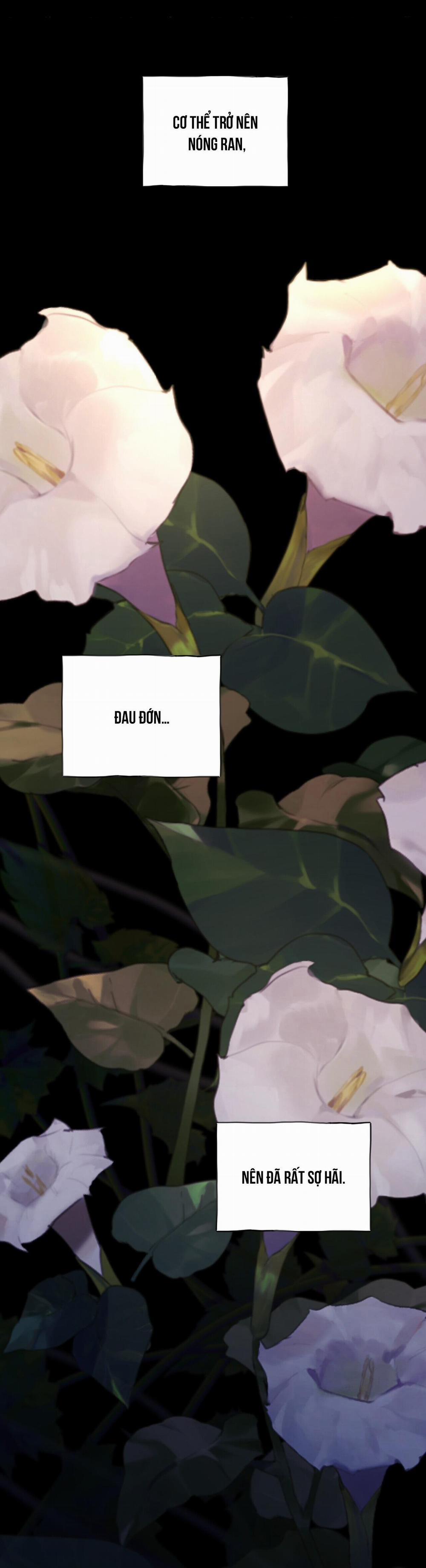 Bát Nhã Giai Nhân 45 trang 65