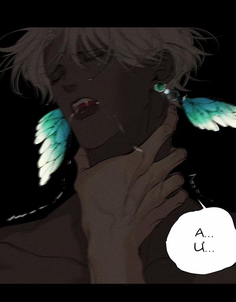 Bất Quy Tắc 8 trang 11