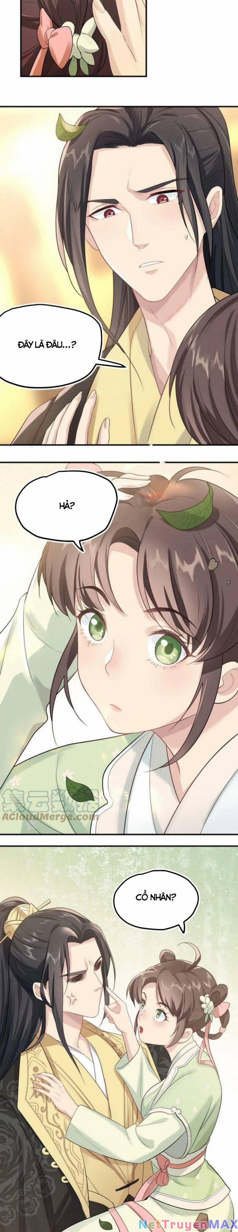 Bắt Ta Làm Cung Nữ? Ta Liền Cho Bạo Quân Quỳ Ván Giặt Đồ!!!! 1 trang 3