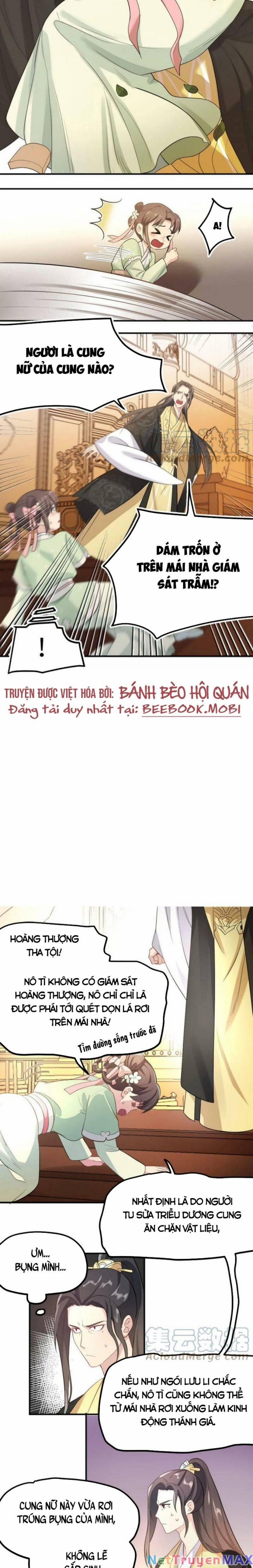 Bắt Ta Làm Cung Nữ? Ta Liền Cho Bạo Quân Quỳ Ván Giặt Đồ!!!! 1 trang 4