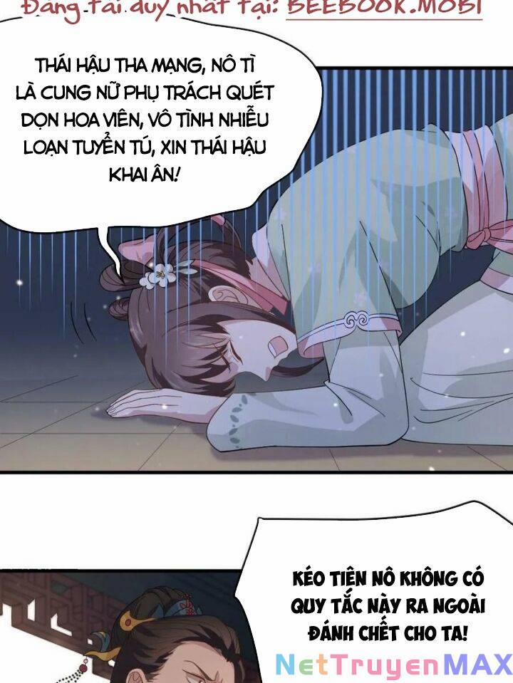 Bắt Ta Làm Cung Nữ? Ta Liền Cho Bạo Quân Quỳ Ván Giặt Đồ!!!! 11 trang 1