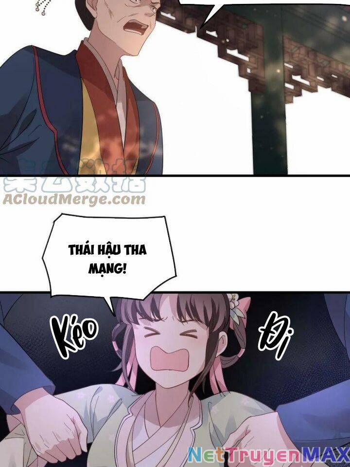 Bắt Ta Làm Cung Nữ? Ta Liền Cho Bạo Quân Quỳ Ván Giặt Đồ!!!! 11 trang 2