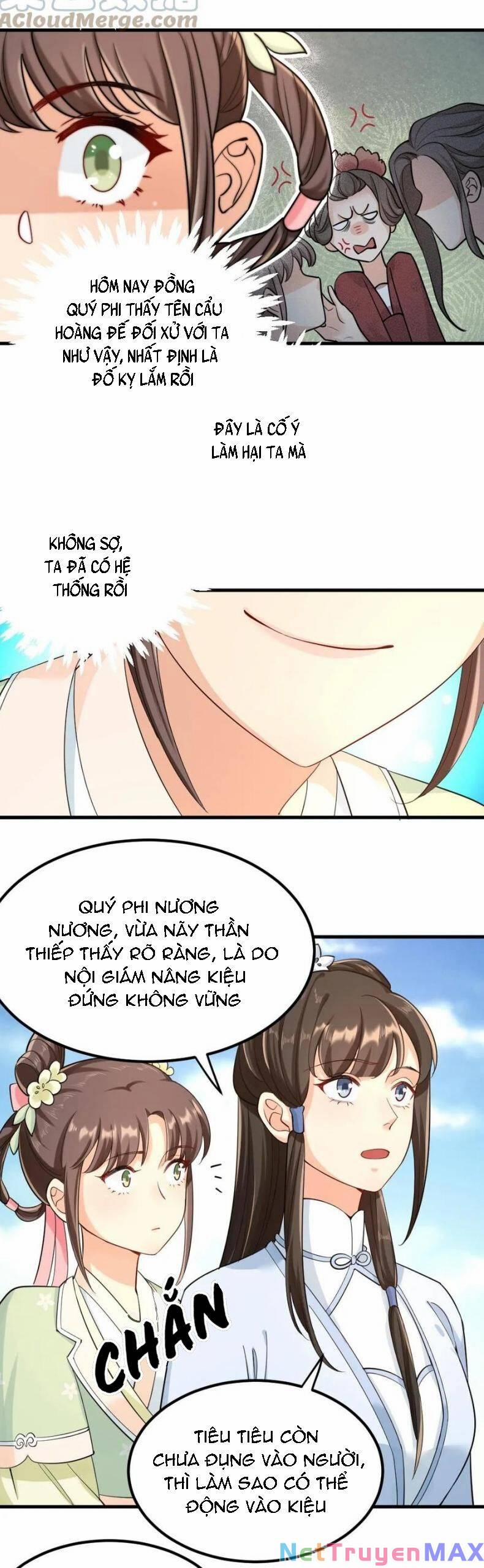 Bắt Ta Làm Cung Nữ? Ta Liền Cho Bạo Quân Quỳ Ván Giặt Đồ!!!! 17 trang 6