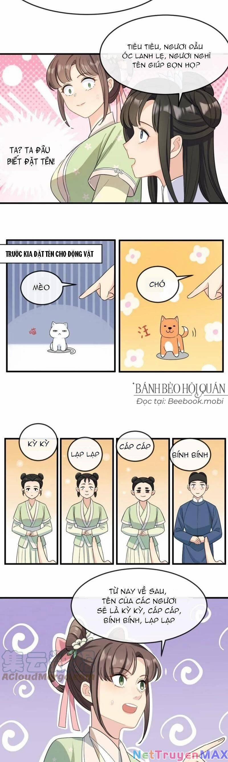 Bắt Ta Làm Cung Nữ? Ta Liền Cho Bạo Quân Quỳ Ván Giặt Đồ!!!! 19 trang 5