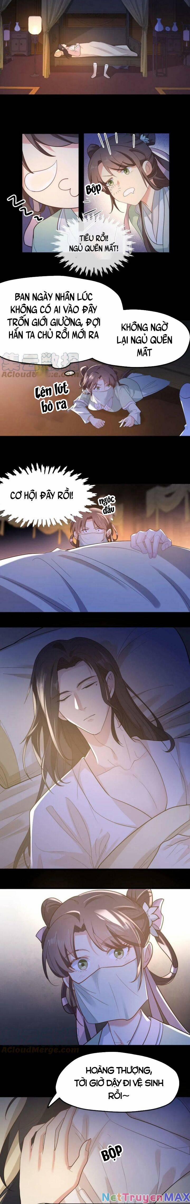 Bắt Ta Làm Cung Nữ? Ta Liền Cho Bạo Quân Quỳ Ván Giặt Đồ!!!! 2 trang 3