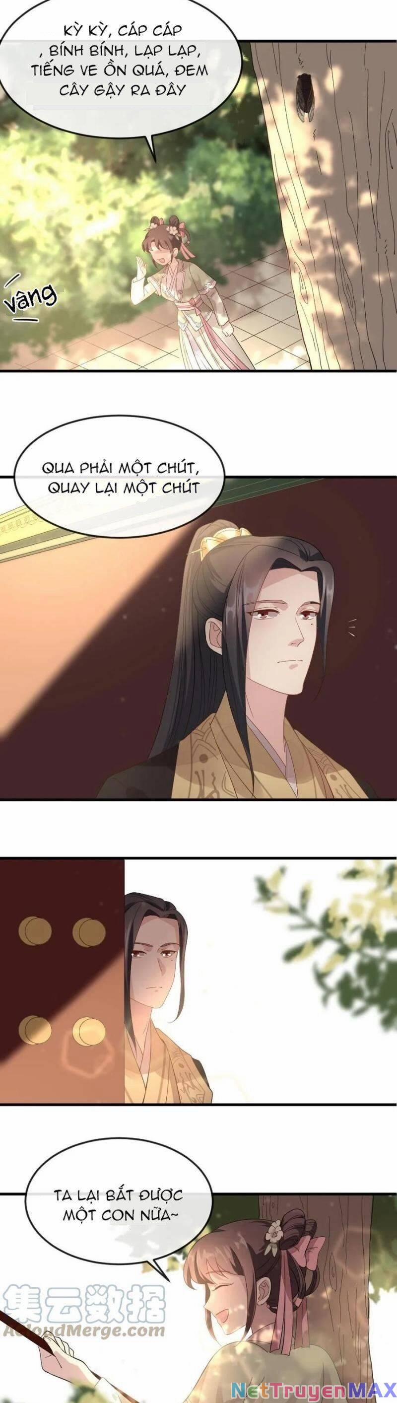 Bắt Ta Làm Cung Nữ? Ta Liền Cho Bạo Quân Quỳ Ván Giặt Đồ!!!! 20 trang 2