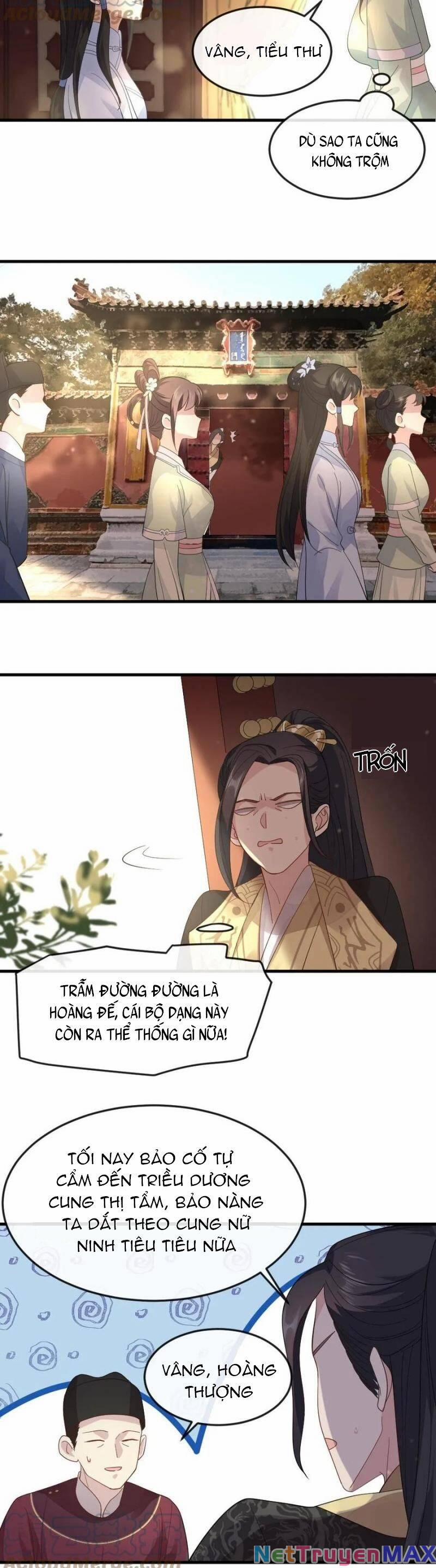 Bắt Ta Làm Cung Nữ? Ta Liền Cho Bạo Quân Quỳ Ván Giặt Đồ!!!! 20 trang 6