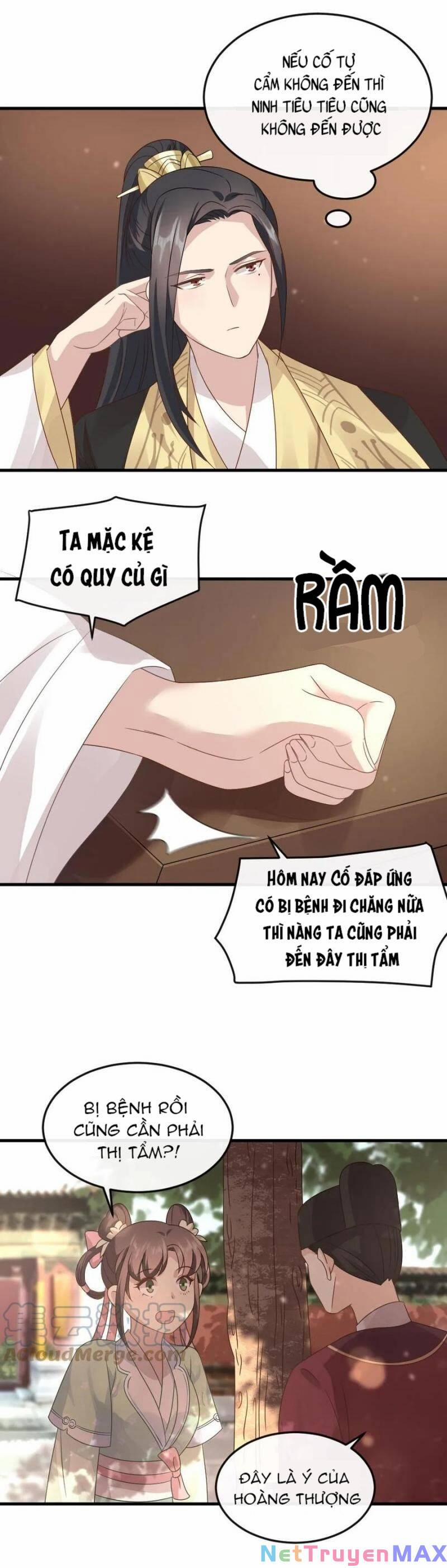 Bắt Ta Làm Cung Nữ? Ta Liền Cho Bạo Quân Quỳ Ván Giặt Đồ!!!! 21 trang 4