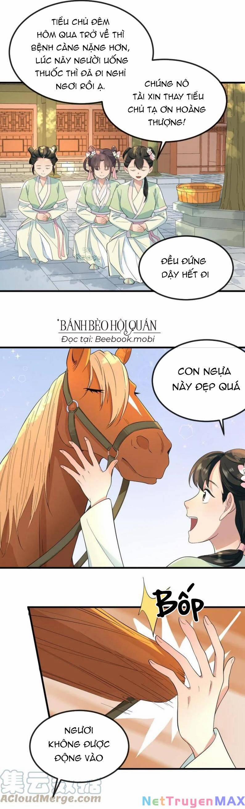 Bắt Ta Làm Cung Nữ? Ta Liền Cho Bạo Quân Quỳ Ván Giặt Đồ!!!! 26 trang 2