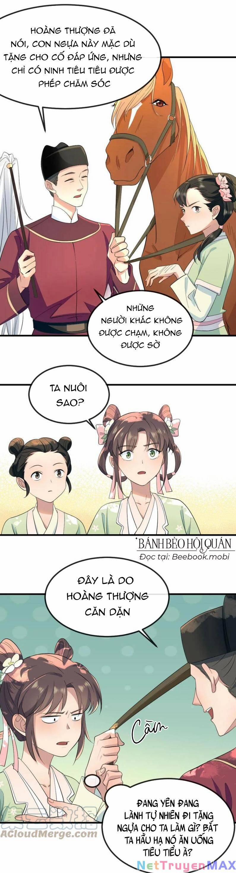 Bắt Ta Làm Cung Nữ? Ta Liền Cho Bạo Quân Quỳ Ván Giặt Đồ!!!! 26 trang 3