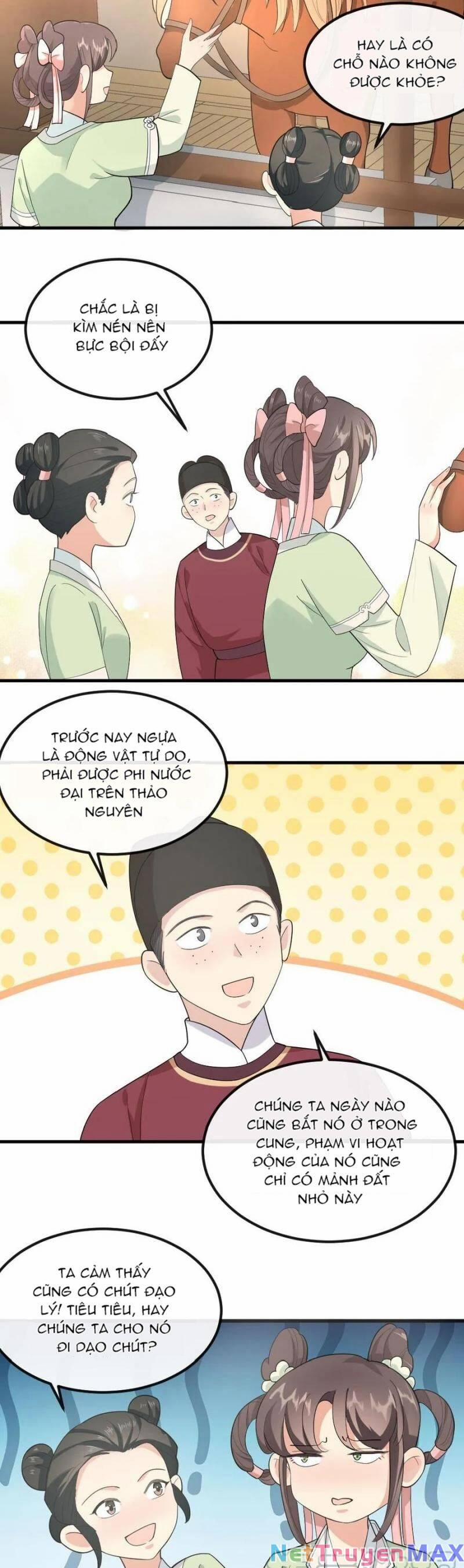 Bắt Ta Làm Cung Nữ? Ta Liền Cho Bạo Quân Quỳ Ván Giặt Đồ!!!! 29 trang 3