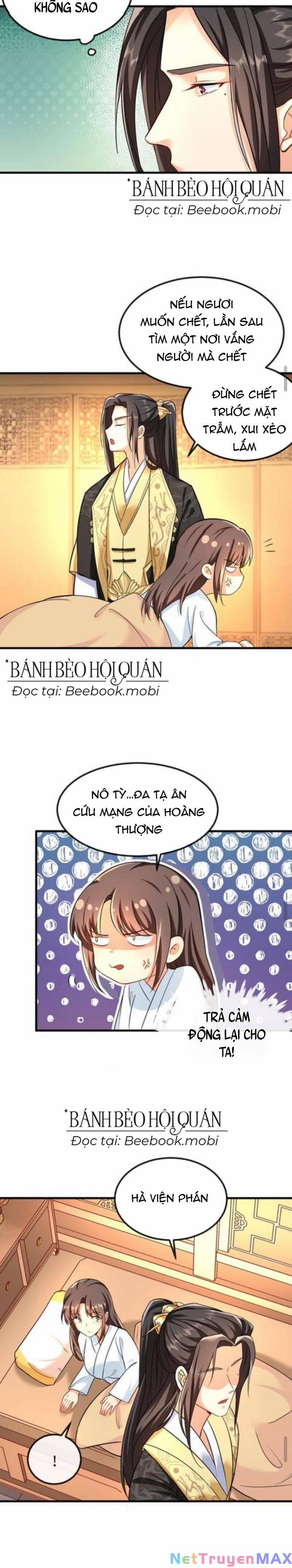 Bắt Ta Làm Cung Nữ? Ta Liền Cho Bạo Quân Quỳ Ván Giặt Đồ!!!! 45 trang 7