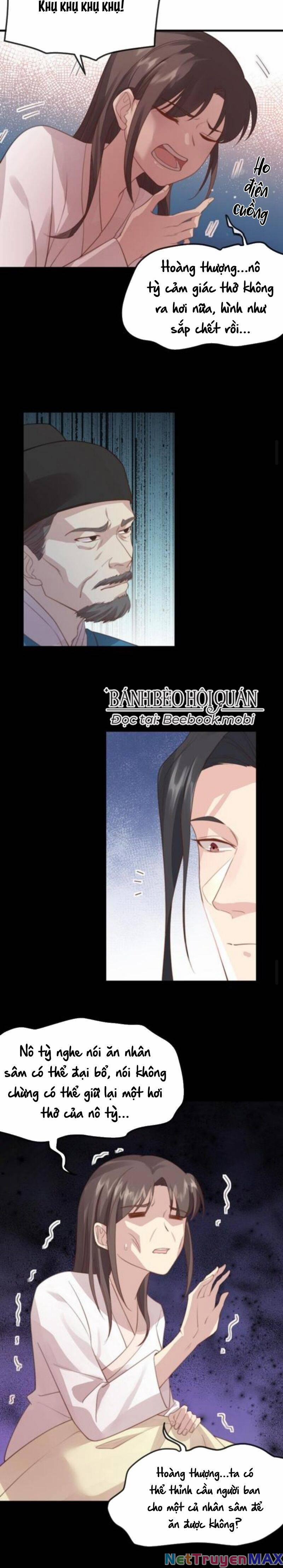 Bắt Ta Làm Cung Nữ? Ta Liền Cho Bạo Quân Quỳ Ván Giặt Đồ!!!! 46 trang 4