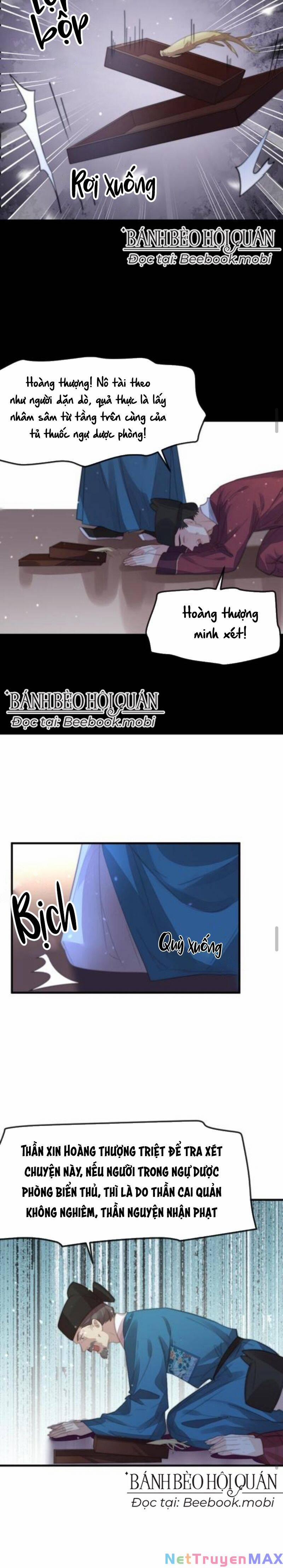 Bắt Ta Làm Cung Nữ? Ta Liền Cho Bạo Quân Quỳ Ván Giặt Đồ!!!! 47 trang 5