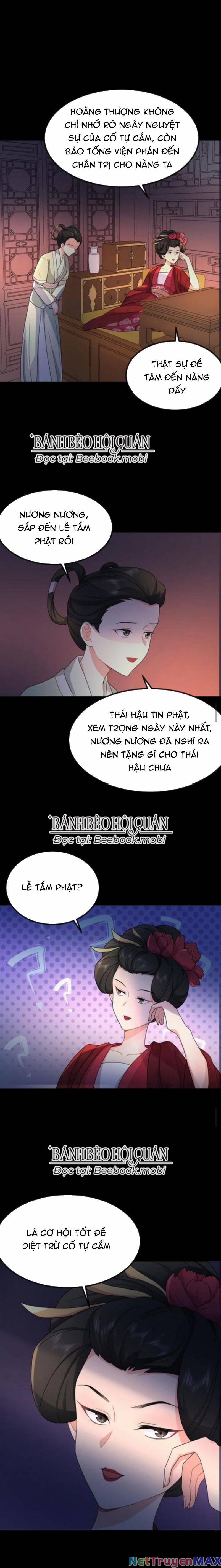 Bắt Ta Làm Cung Nữ? Ta Liền Cho Bạo Quân Quỳ Ván Giặt Đồ!!!! 49 trang 8