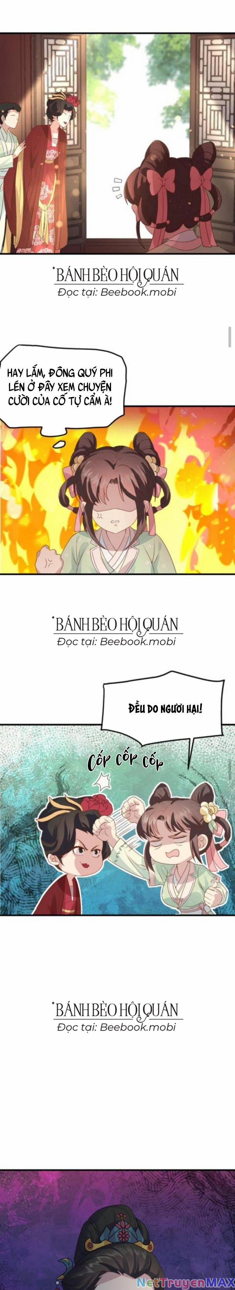 Bắt Ta Làm Cung Nữ? Ta Liền Cho Bạo Quân Quỳ Ván Giặt Đồ!!!! 51 trang 6