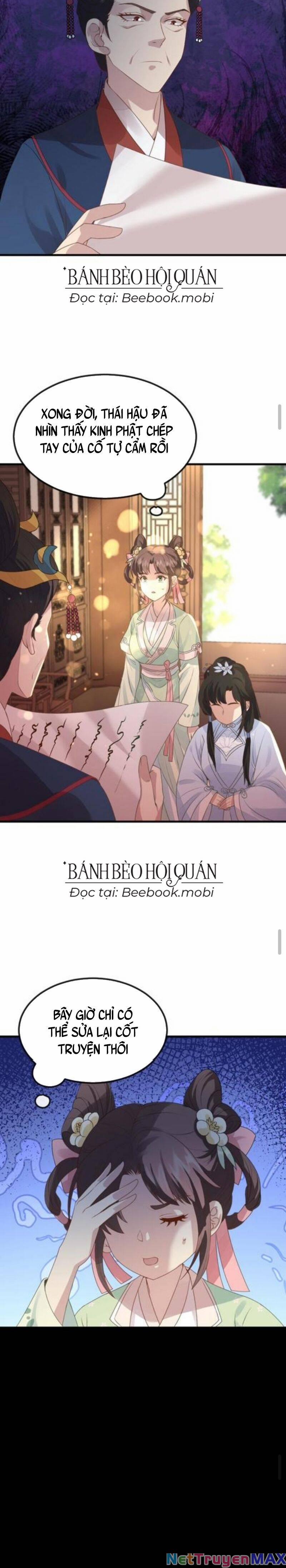 Bắt Ta Làm Cung Nữ? Ta Liền Cho Bạo Quân Quỳ Ván Giặt Đồ!!!! 51 trang 7