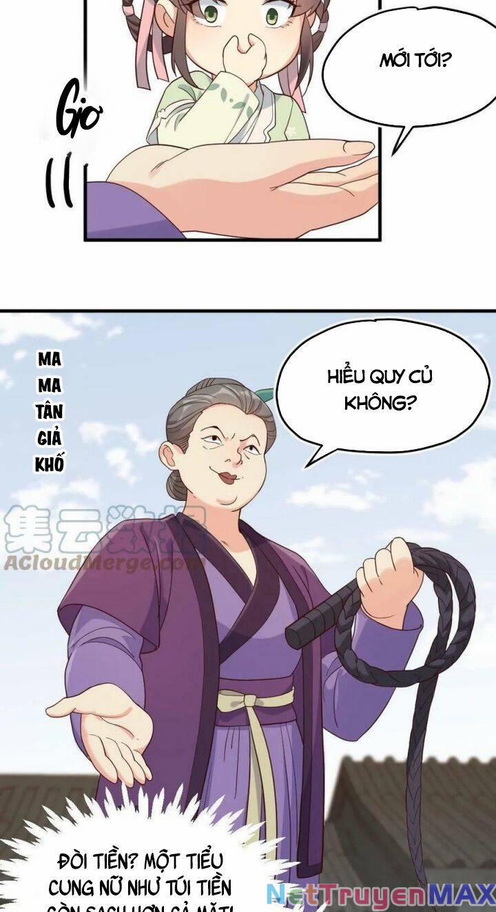 Bắt Ta Làm Cung Nữ? Ta Liền Cho Bạo Quân Quỳ Ván Giặt Đồ!!!! 7 trang 1