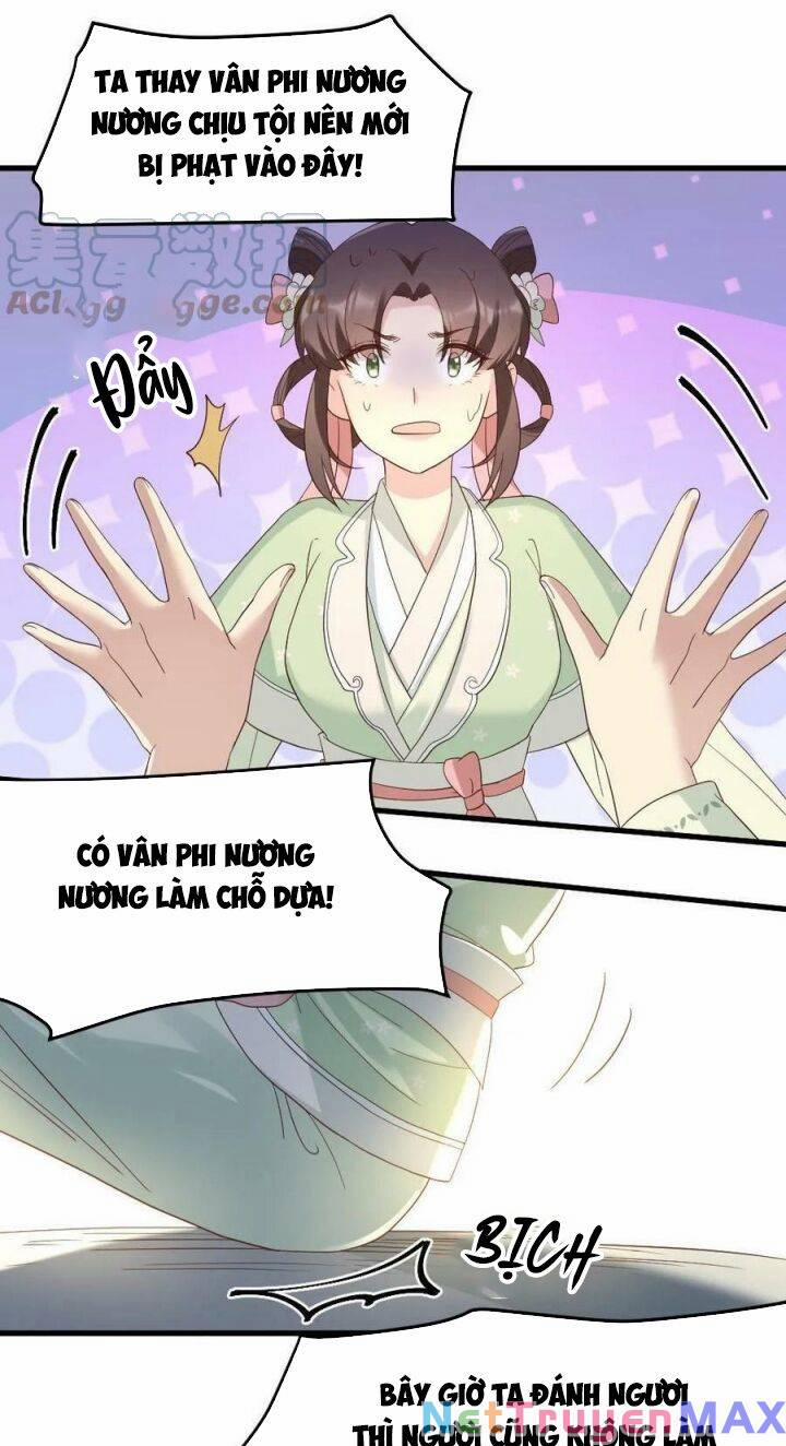 Bắt Ta Làm Cung Nữ? Ta Liền Cho Bạo Quân Quỳ Ván Giặt Đồ!!!! 7 trang 13