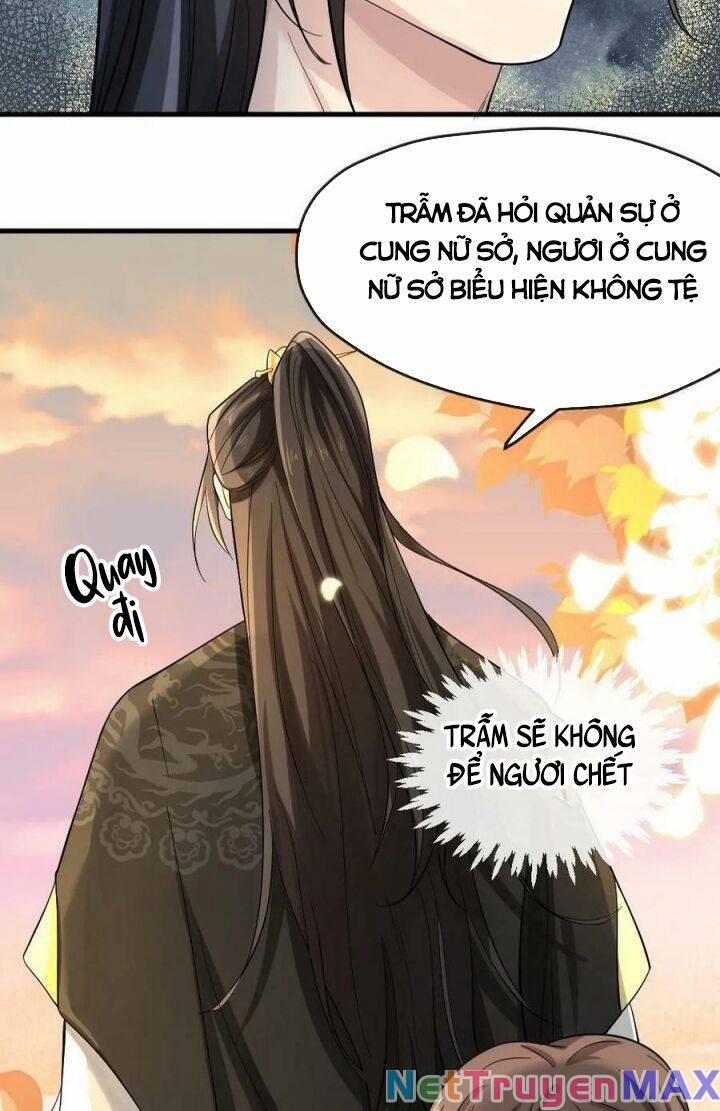 Bắt Ta Làm Cung Nữ? Ta Liền Cho Bạo Quân Quỳ Ván Giặt Đồ!!!! 8 trang 12