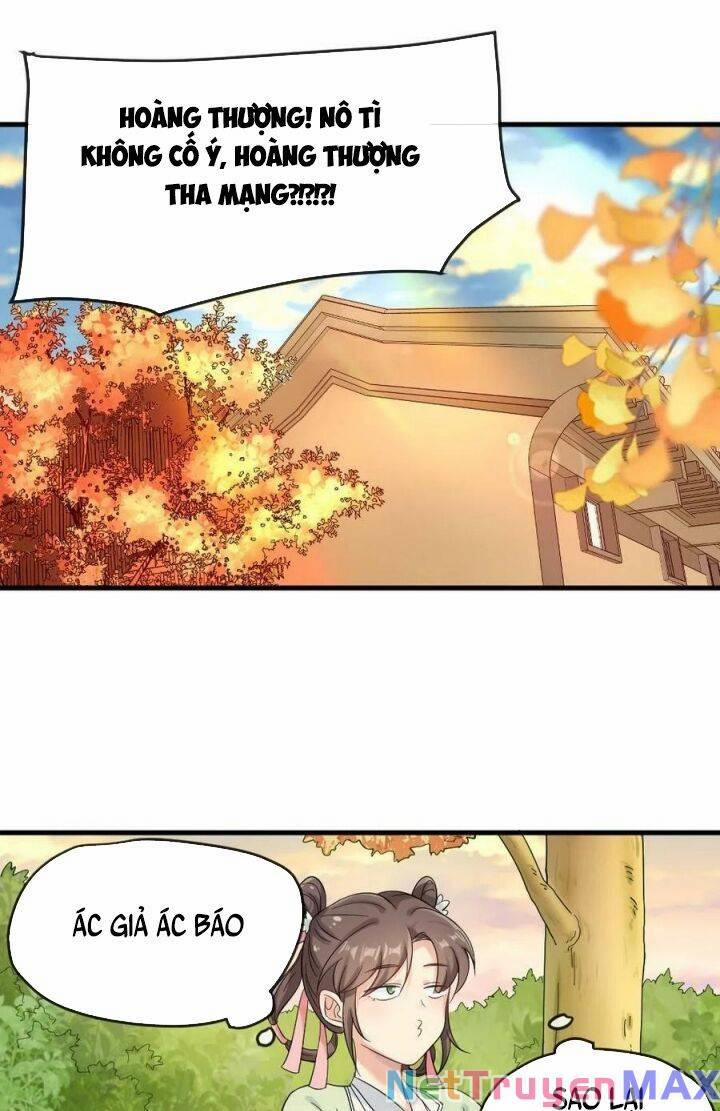 Bắt Ta Làm Cung Nữ? Ta Liền Cho Bạo Quân Quỳ Ván Giặt Đồ!!!! 8 trang 5